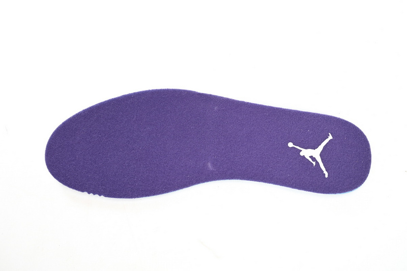 DJ Air Jordan 12 PAICU