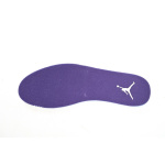 DJ Air Jordan 12 PAICU