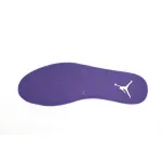 DJ Air Jordan 12 PAICU