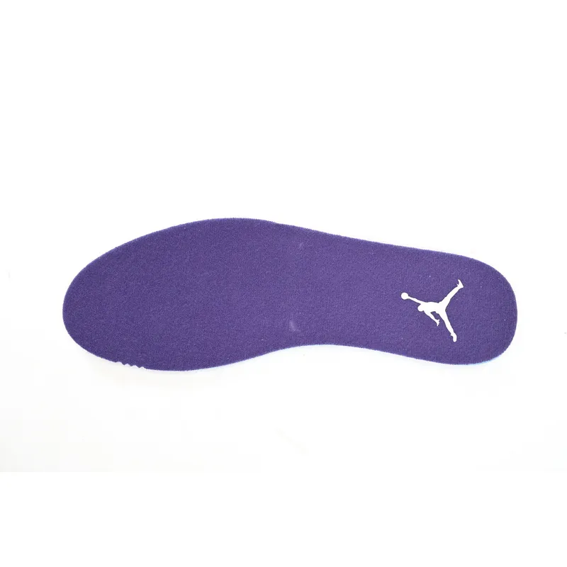 DJ Air Jordan 12 PAICU