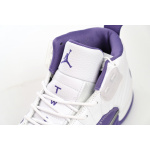 DJ Air Jordan 12 PAICU