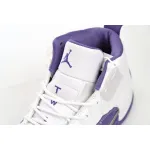 DJ Air Jordan 12 PAICU