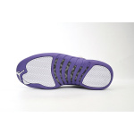 DJ Air Jordan 12 PAICU