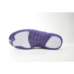 DJ Air Jordan 12 PAICU