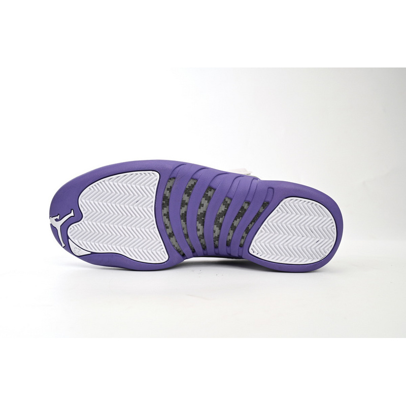 DJ Air Jordan 12 PAICU