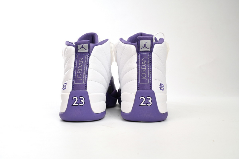 DJ Air Jordan 12 PAICU