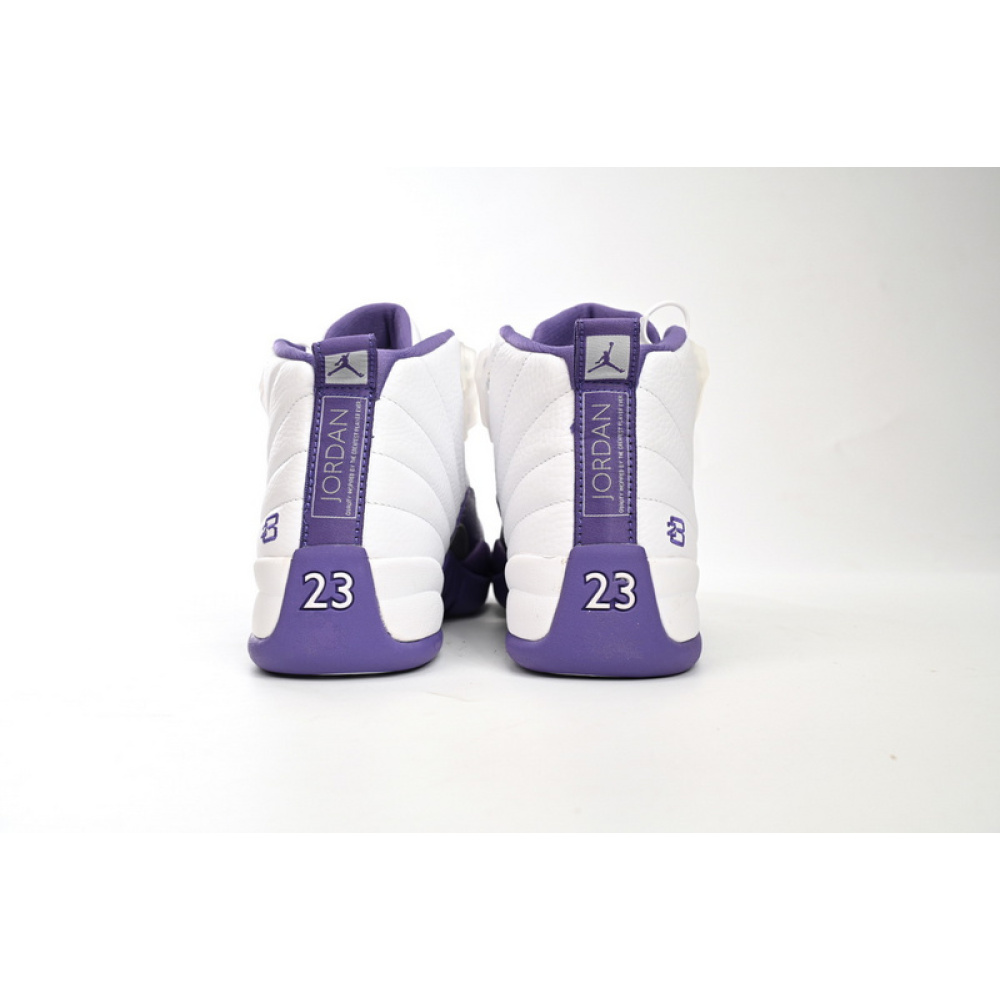 DJ Air Jordan 12 PAICU