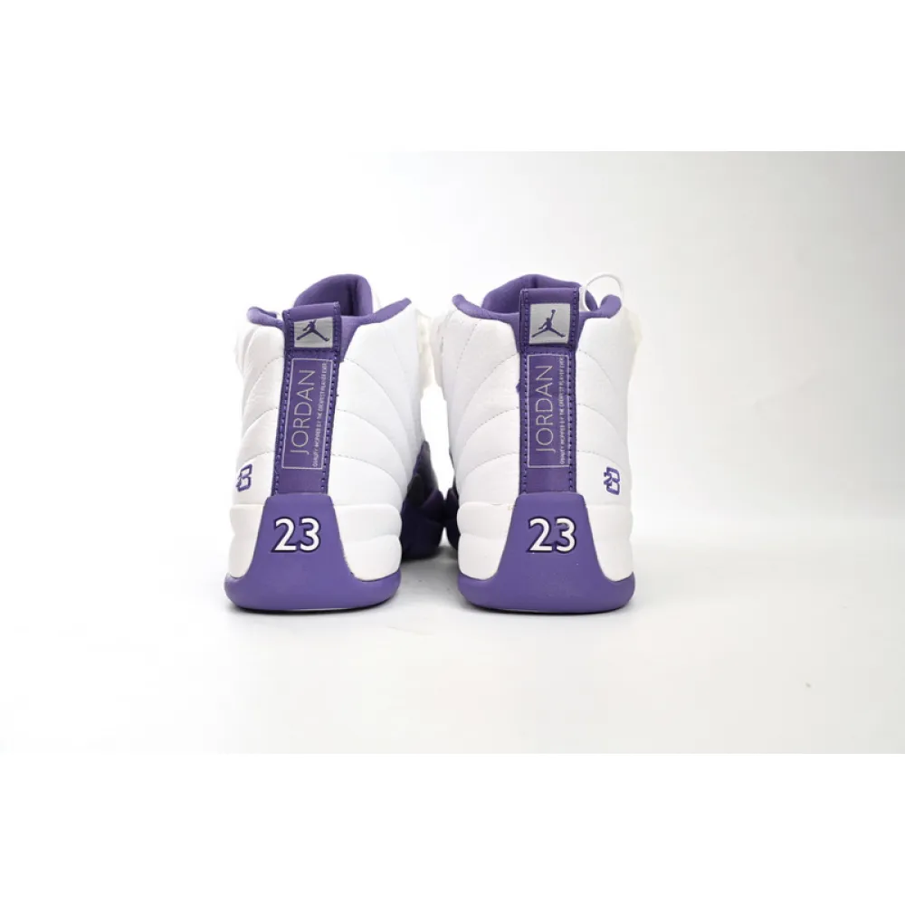 DJ Air Jordan 12 PAICU