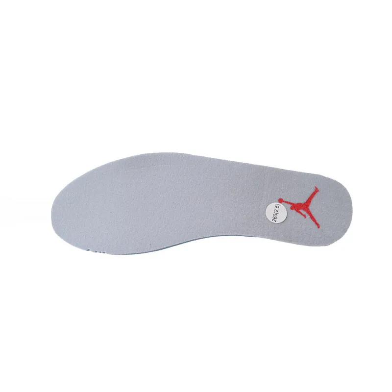 Air Jordan AJ312 Bull