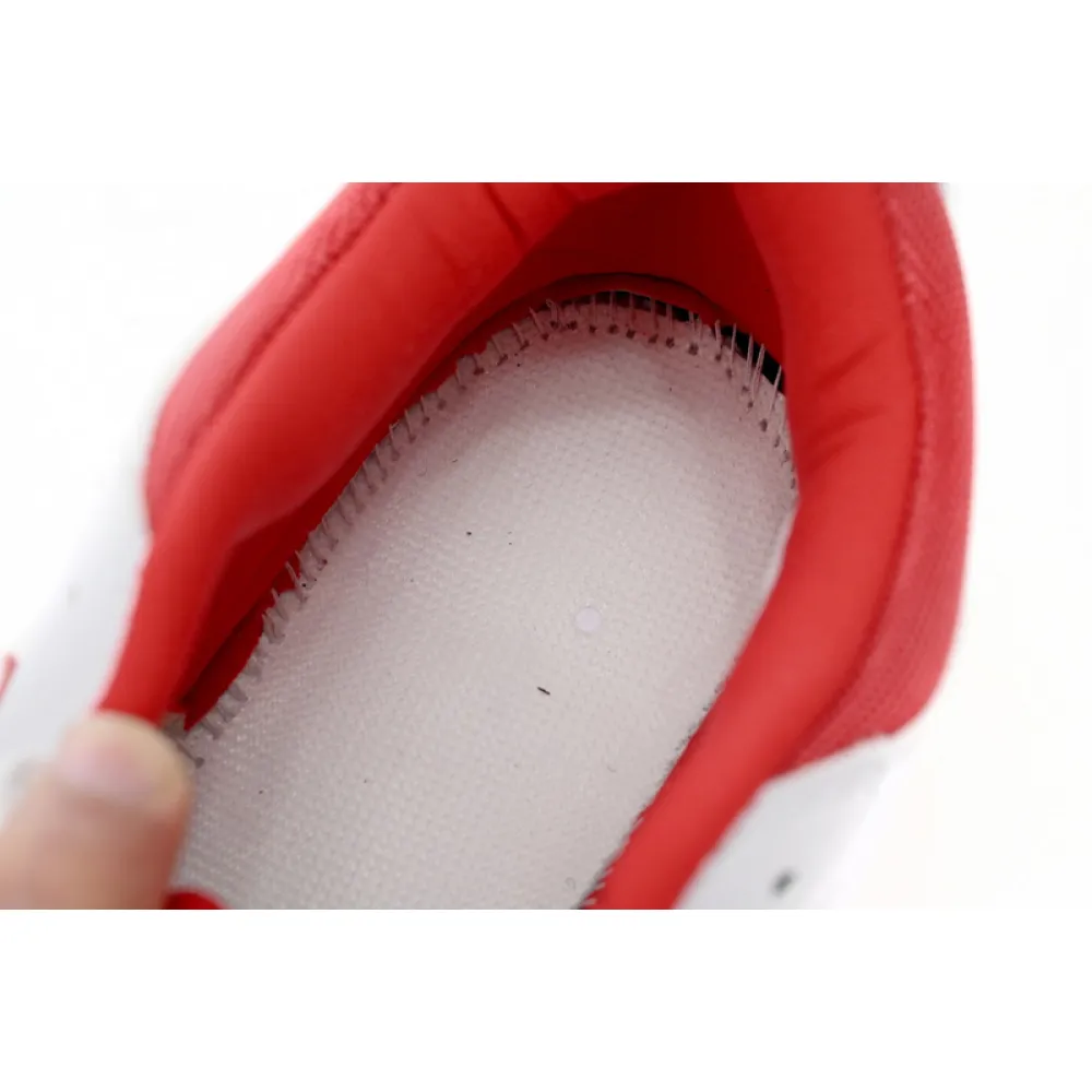 Air Jordan AJ312 Bull