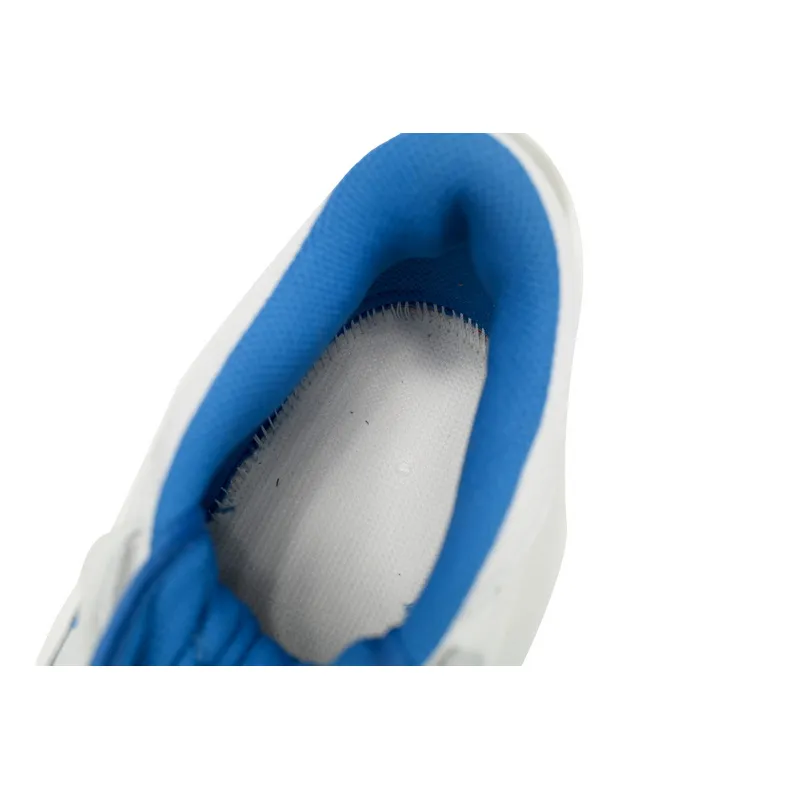 Air Jordan AJ312 Magnolia