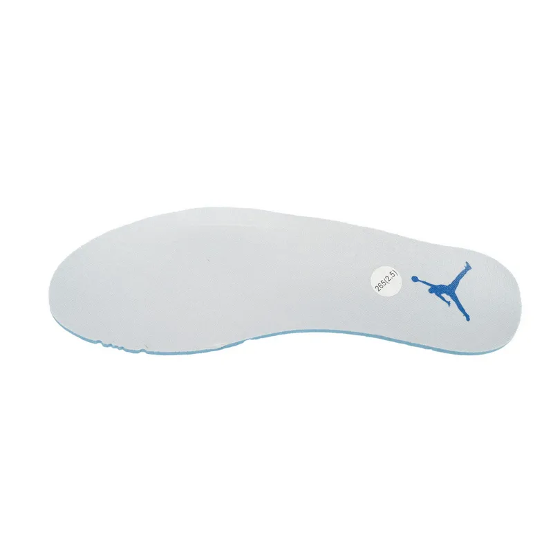 Air Jordan AJ312 Magnolia