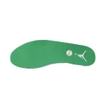 Air Jordan AJ312 White Green