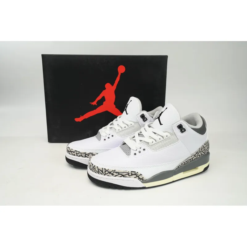 LS  Air Jordan 3 Hide N Sneak White Black