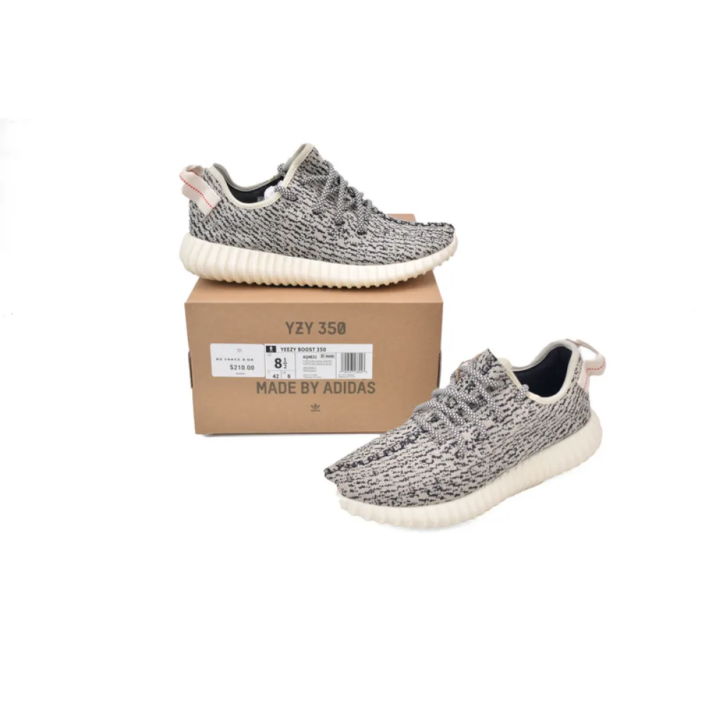 OG Adidas originals Yeezy Boost 350 Turle Dove