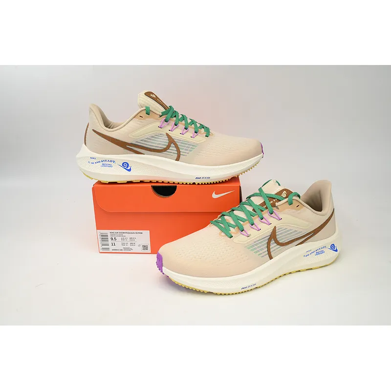 Nike Air Zoom Pegasus 39 Baikaqi