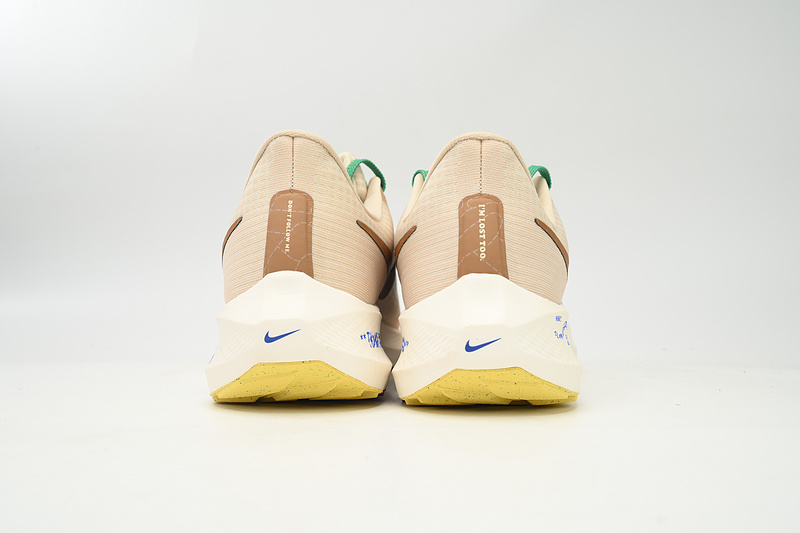 Nike Air Zoom Pegasus 39 Baikaqi