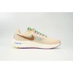 Nike Air Zoom Pegasus 39 Baikaqi