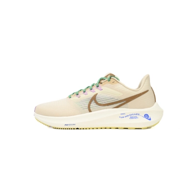 Nike Air Zoom Pegasus 39 Baikaqi 01