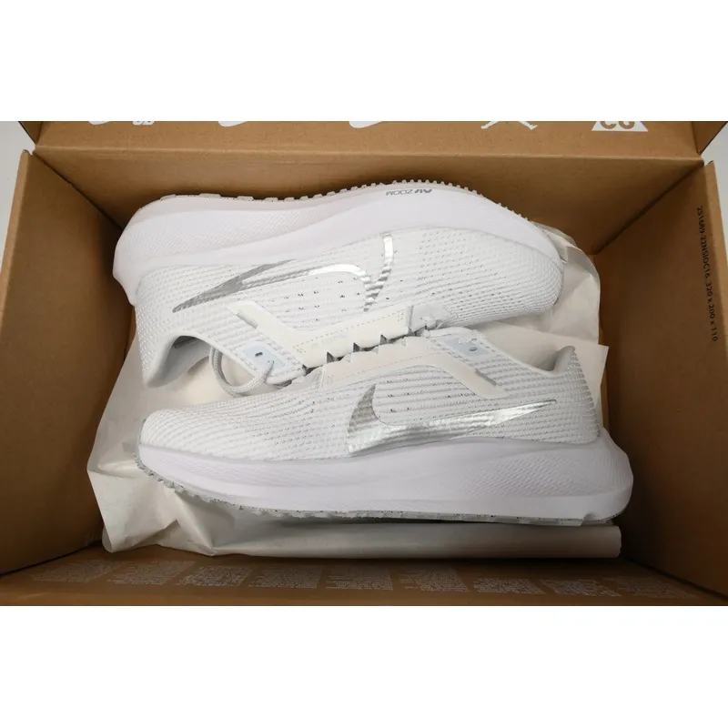 Nike Air Zoom Pegasus 40 Silver