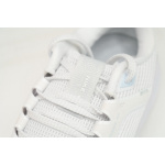 Nike Air Zoom Pegasus 40 Silver