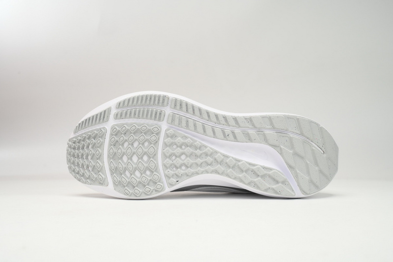 Nike Air Zoom Pegasus 40 Silver