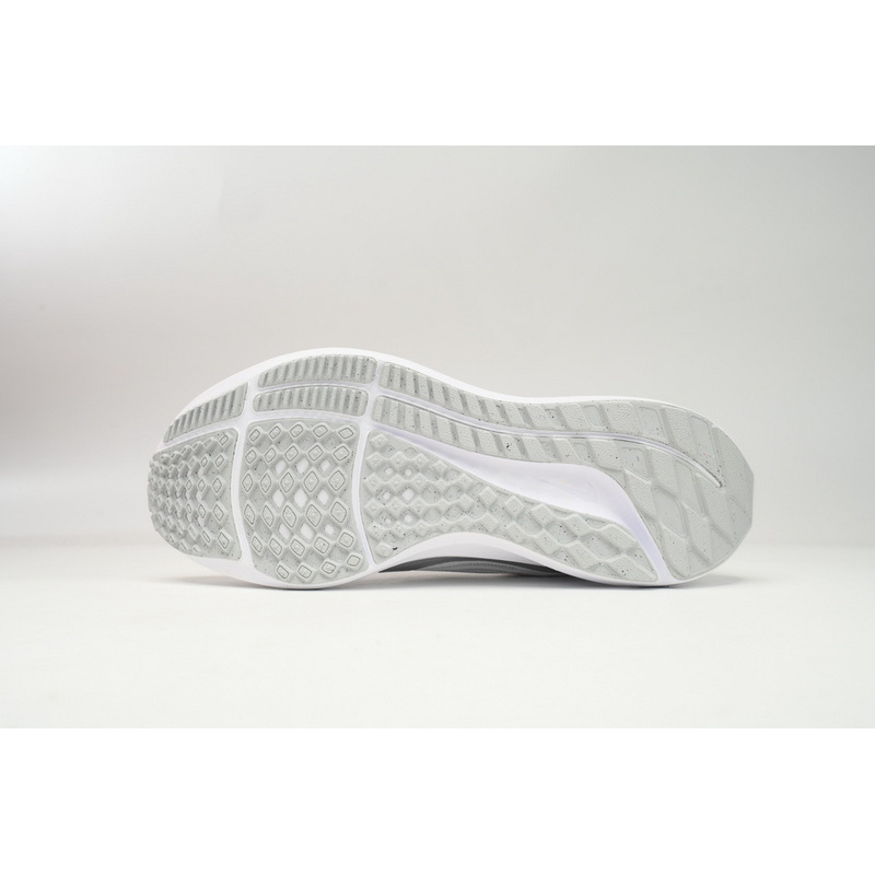Nike Air Zoom Pegasus 40 Silver