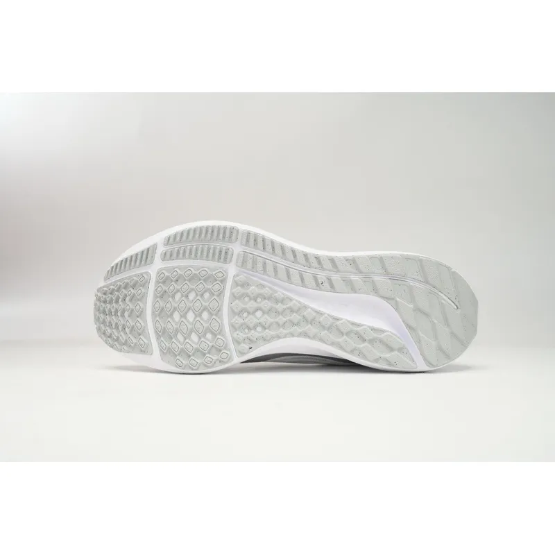 Nike Air Zoom Pegasus 40 Silver