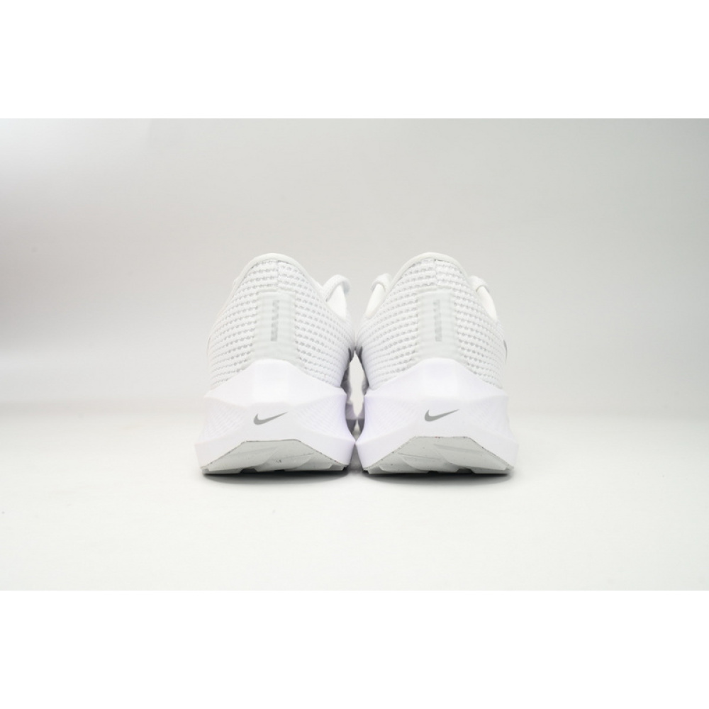 Nike Air Zoom Pegasus 40 Silver