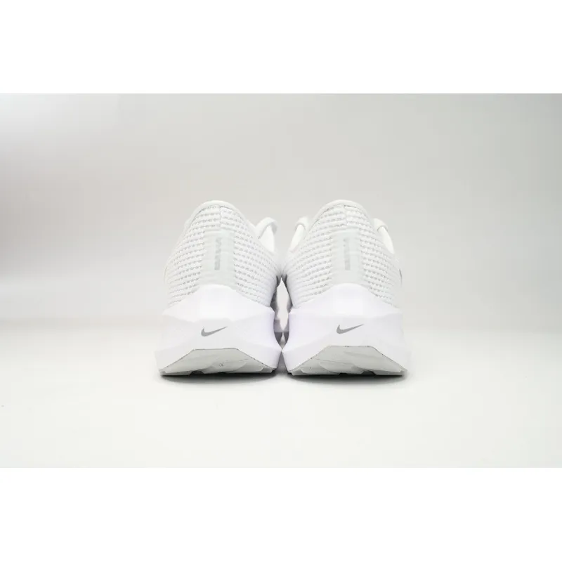 Nike Air Zoom Pegasus 40 Silver