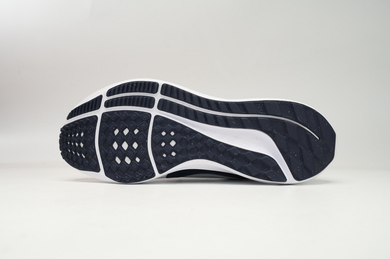 Nike Air Zoom Pegasus 40 White Blue