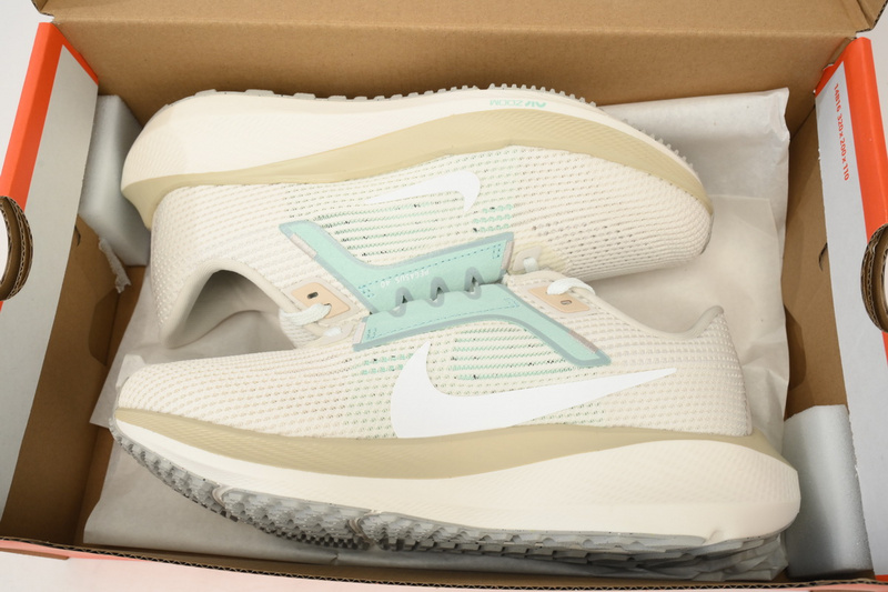 Nike Air Zoom Pegasus 40 White Gray Blue