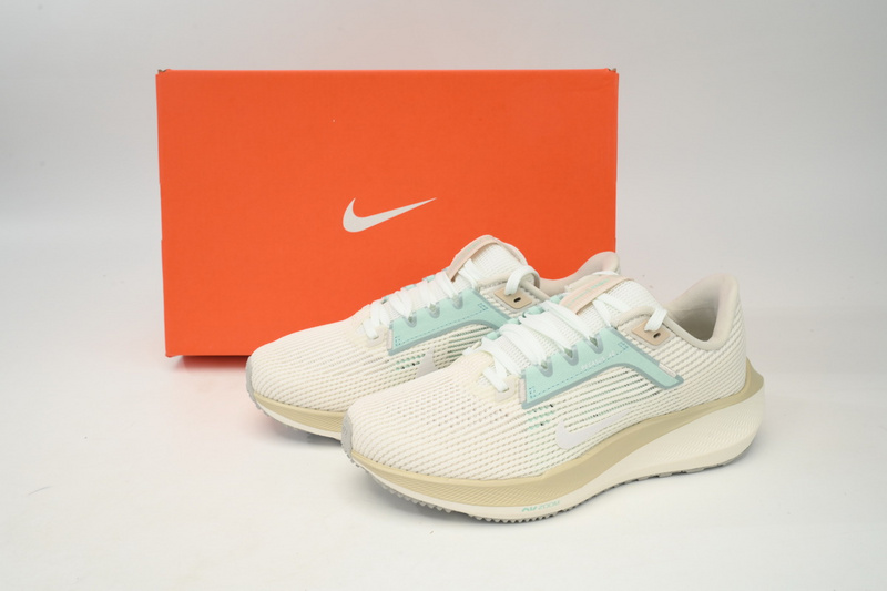 Nike Air Zoom Pegasus 40 White Gray Blue