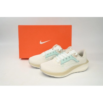 Nike Air Zoom Pegasus 40 White Gray Blue 02