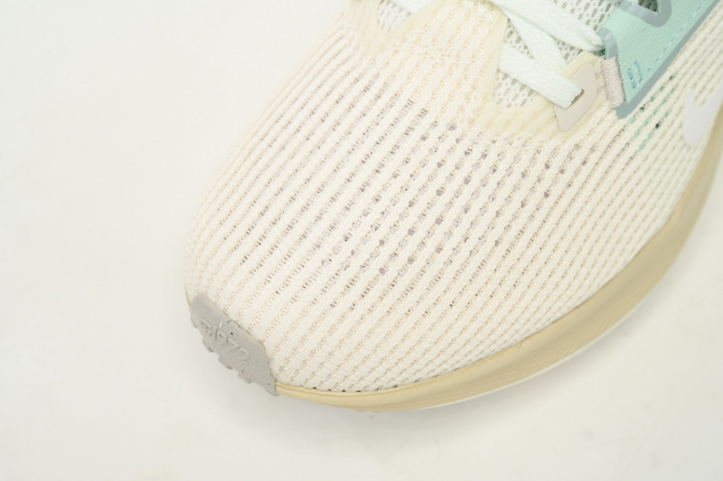 Nike Air Zoom Pegasus 40 White Gray Blue