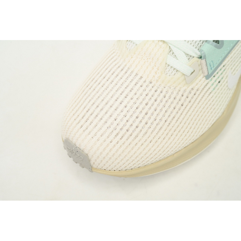 Nike Air Zoom Pegasus 40 White Gray Blue