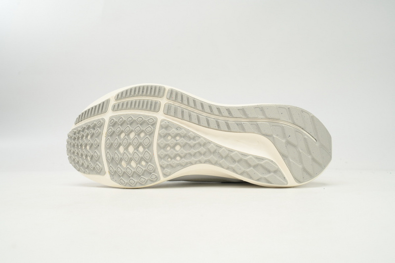 Nike Air Zoom Pegasus 40 White Gray Blue