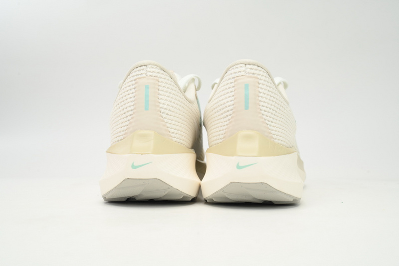 Nike Air Zoom Pegasus 40 White Gray Blue