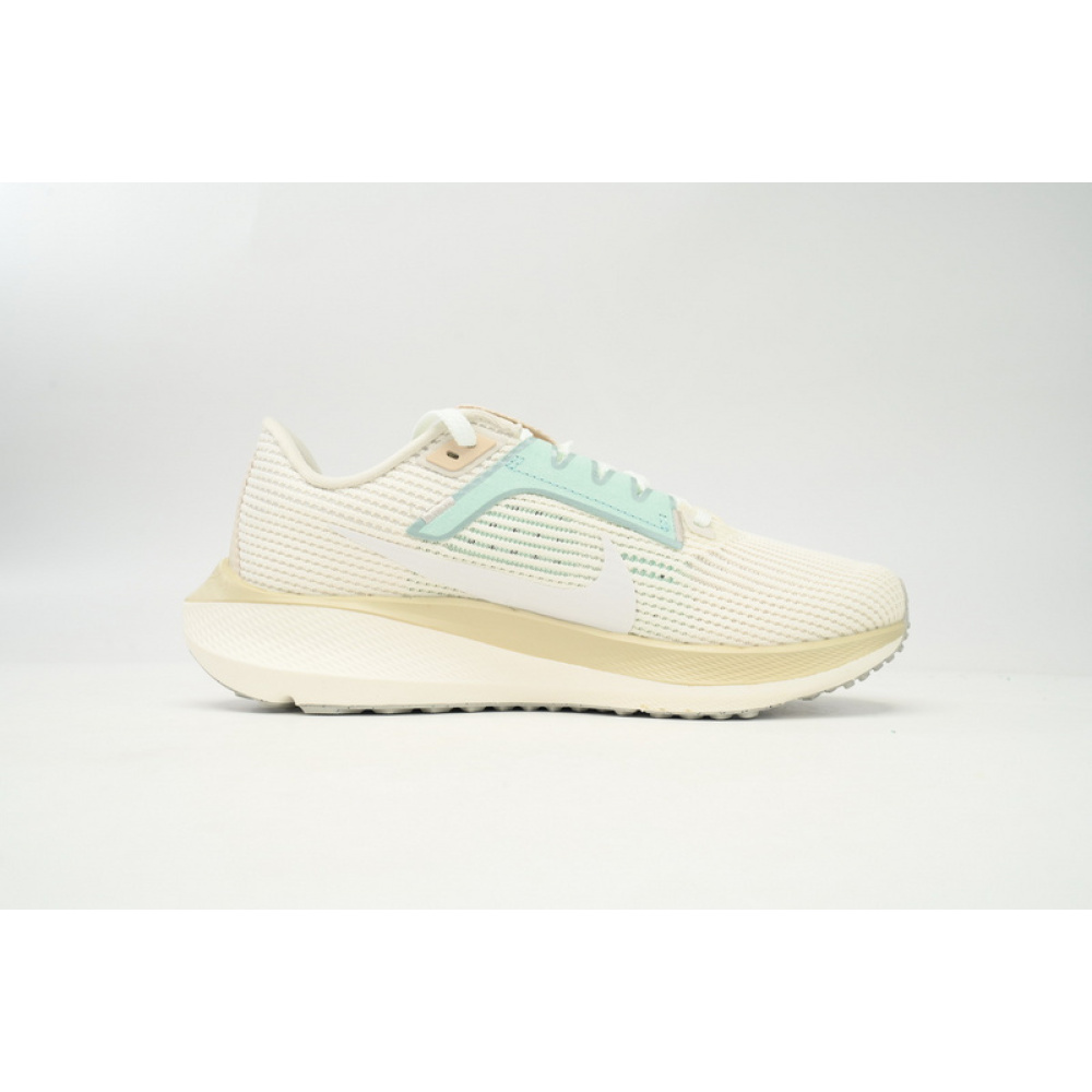 Nike Air Zoom Pegasus 40 White Gray Blue