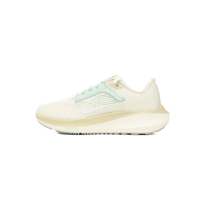 Nike Air Zoom Pegasus 40 White Gray Blue 01