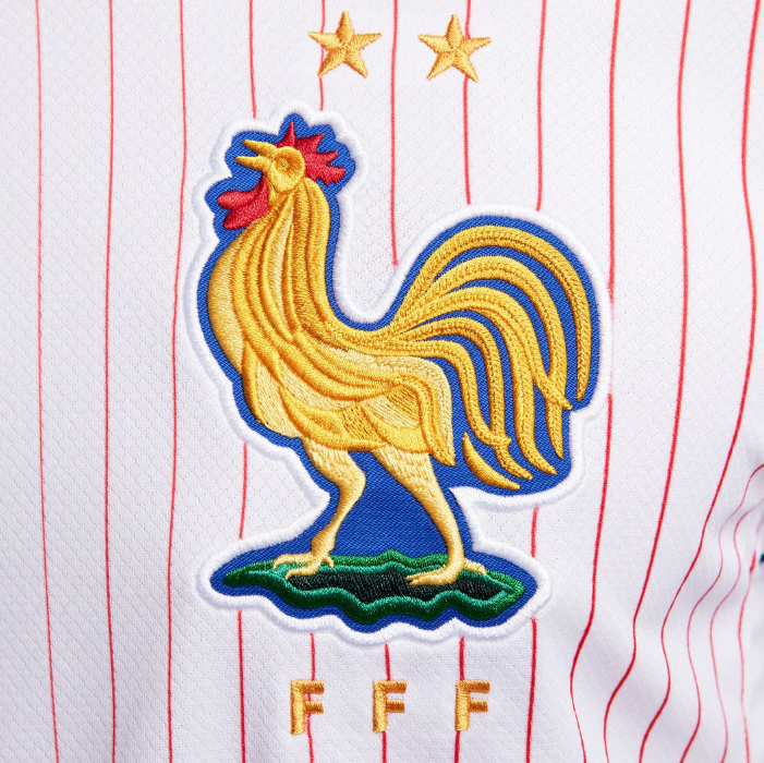 FFF Away Jersey 2024