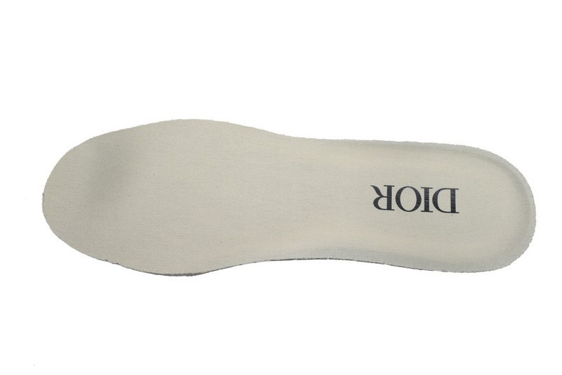 Dior B30 'Reflective CD30 - Cream Green'