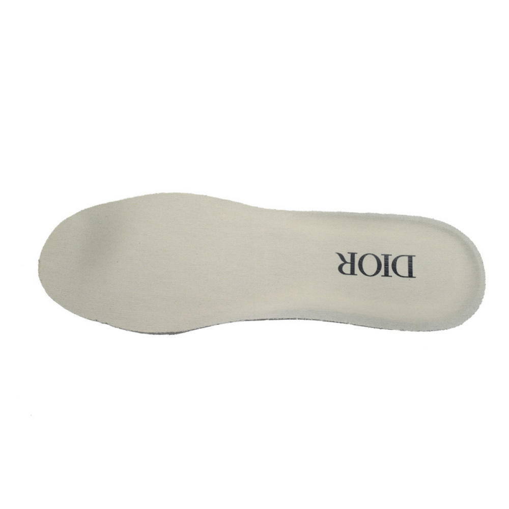 Dior B30 'Reflective CD30 - Cream Green'