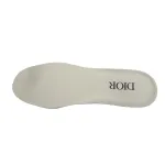 Dior B30 'Reflective CD30 - Cream Green'