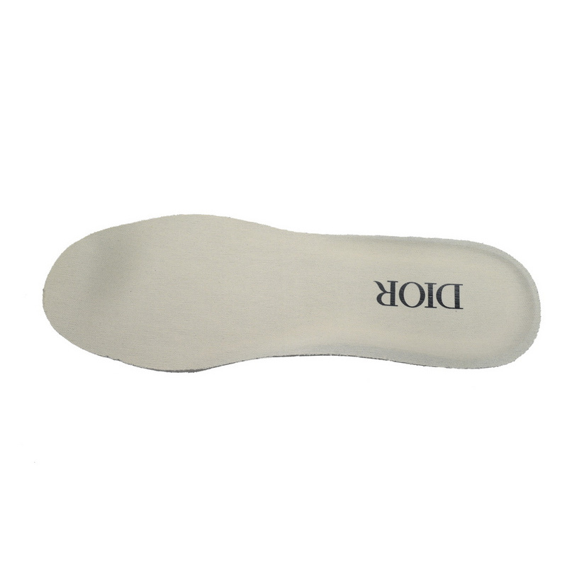 Dior B30 'Reflective CD30 - Cream Green'