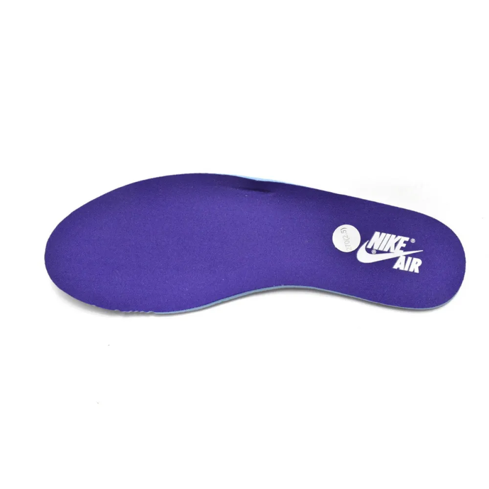 Air Jordan 1 Court Purple