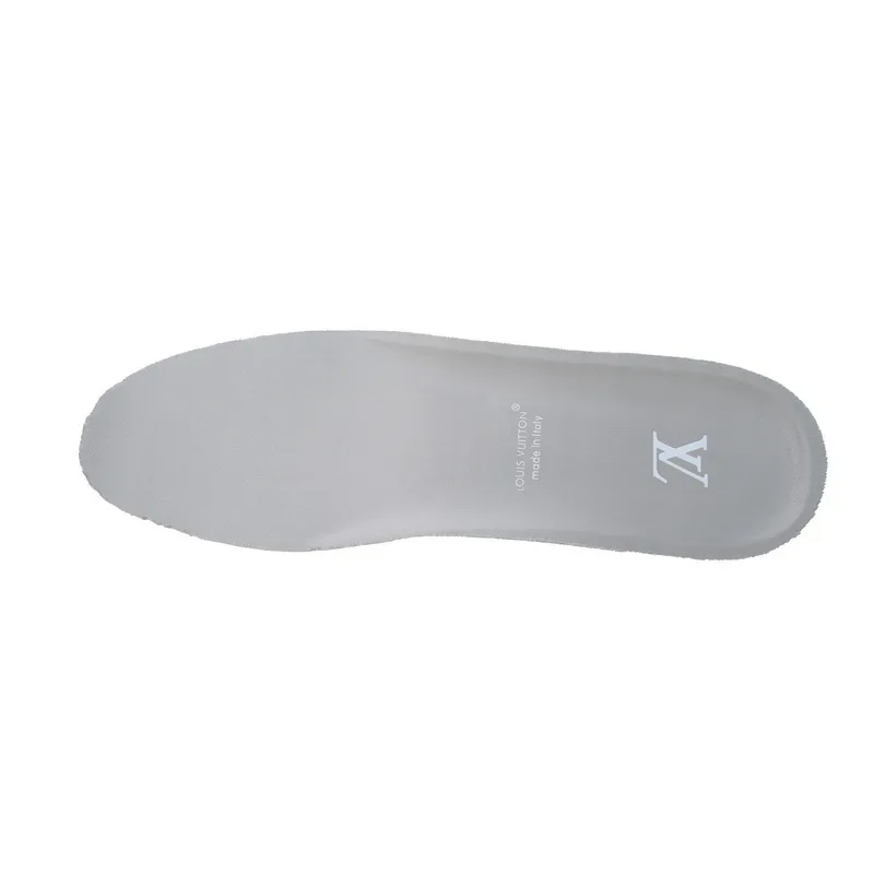 Louis Vuitton Skate Grey