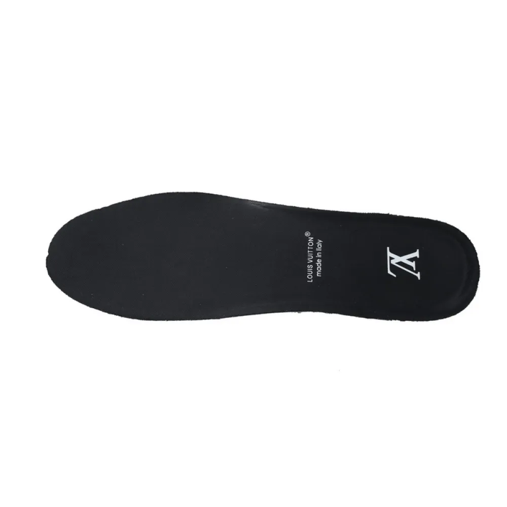 Louis Vuitton Trainer Triple Black