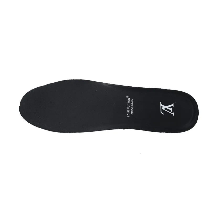 Louis Vuitton Trainer Triple Black