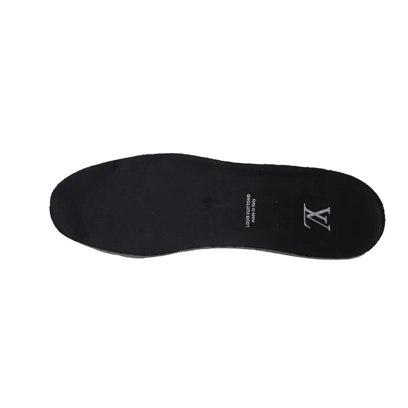 Nigo x Louis Vuitton Trainer Black